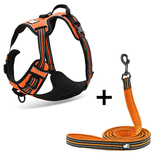 Arnés para perro con correa incluida color naranja